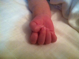 120126MIKU_Hand.JPG