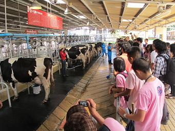20Nov,2010 chokchai-mo-1.JPG
