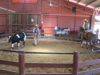 20Nov,2010 cowboy show.JPG
