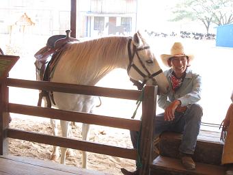 20Nov,2010 horse.JPG