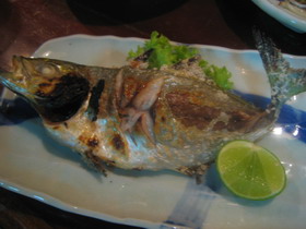AJI-SHIOYAKI.jpg