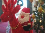 Akahana-Santa180.jpg