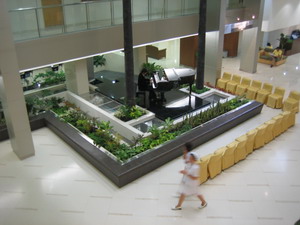 BKK HOSPITAL.jpg