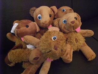 DOM-BEAR2.JPG