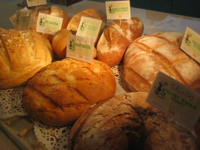 FOLIES2.jpg