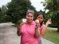 FRUIT PARK1.JPG