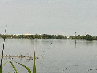 Flood@saha2.JPG