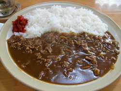 HAYASHI-RICE.jpg