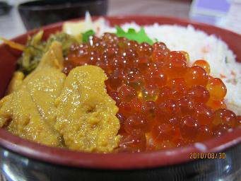 Hokkaido Fair Aug2010 sansyokudon.JPG