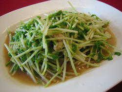 KUSA-ITAME.jpg