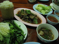 LAAP PED1.jpg