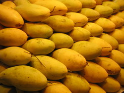 MANGO.jpg