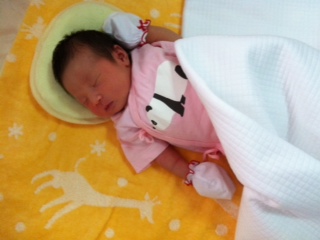 MIKU120110blog.JPG
