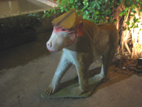 Monkey.jpg