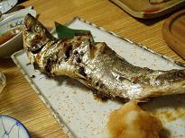 NISHIN.JPG