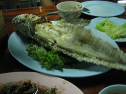 OSAKANA.jpg