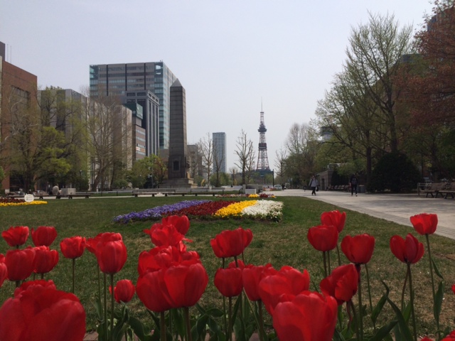 Odori_Park_08May2014.JPG