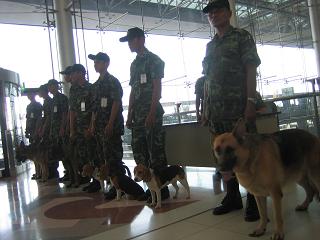 POLICE DOG.JPG
