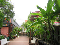 PatrawadeeT250.jpg