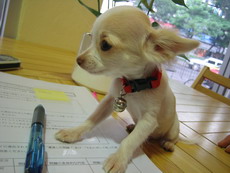 Q-chan2.jpg
