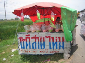 ROTHI-SAIMAI.jpg