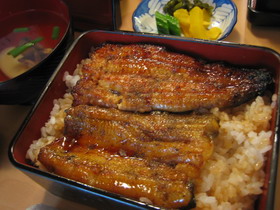 UNAGI.jpg