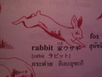 USAGI.jpg