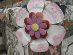 WatAroon-Pink-150.jpg