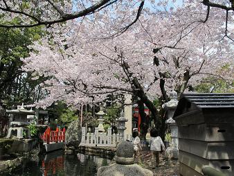 harima-kyoshiki5.JPG