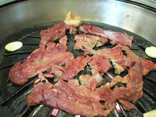 lamb-3.JPG